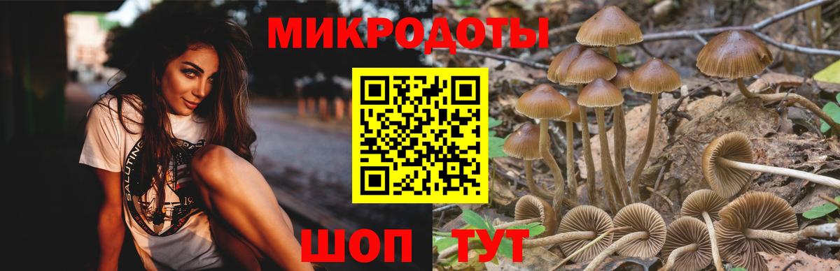 Галлюциногенные грибы Magic Shrooms  Псилоцибиновые грибы MAGIC MUSHROOMS  Вход с VPN  Севастополь 